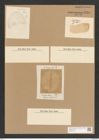 Diatomeae indet. Zeichnungen Sammlung Grunow Nr. 3759 (NHMW-BOT-W0371414)